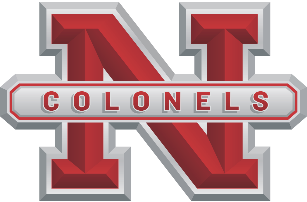 Nicholls State Colonels 2005-2008 Alternate Logo iron on transfers for clothing